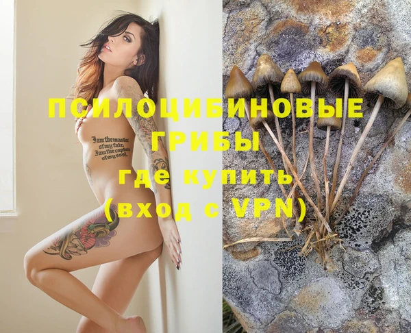 альфа пвп Козельск